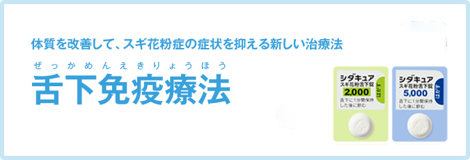 療法 クリニック 免疫 光免疫療法・がん治療専門院【TGC東京がんクリニック】